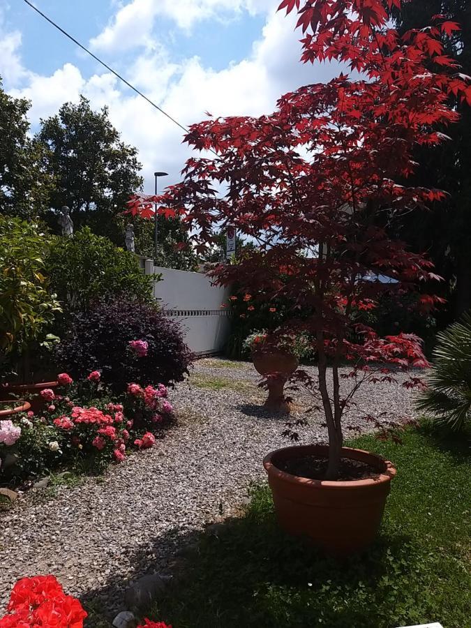 Lula B&B Лукка Екстер'єр фото